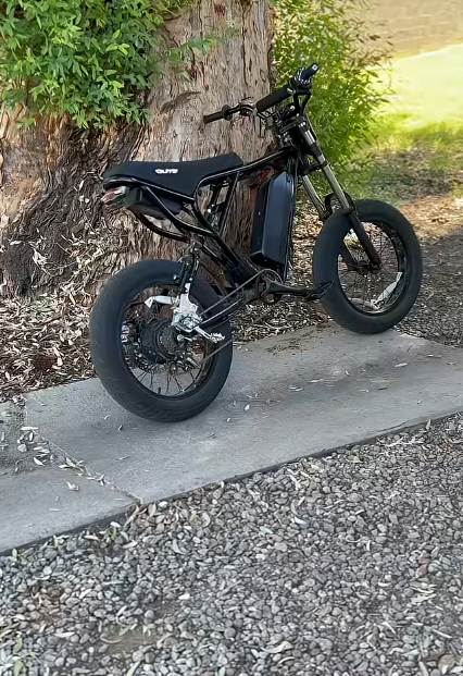 Custom black e-bike leaning against a tree